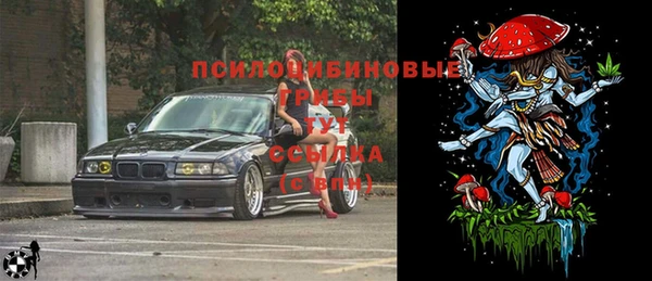 дурь Аркадак